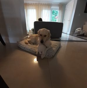 Meet your Posher, Fancy